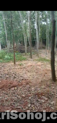 জায়গা বিক্রি